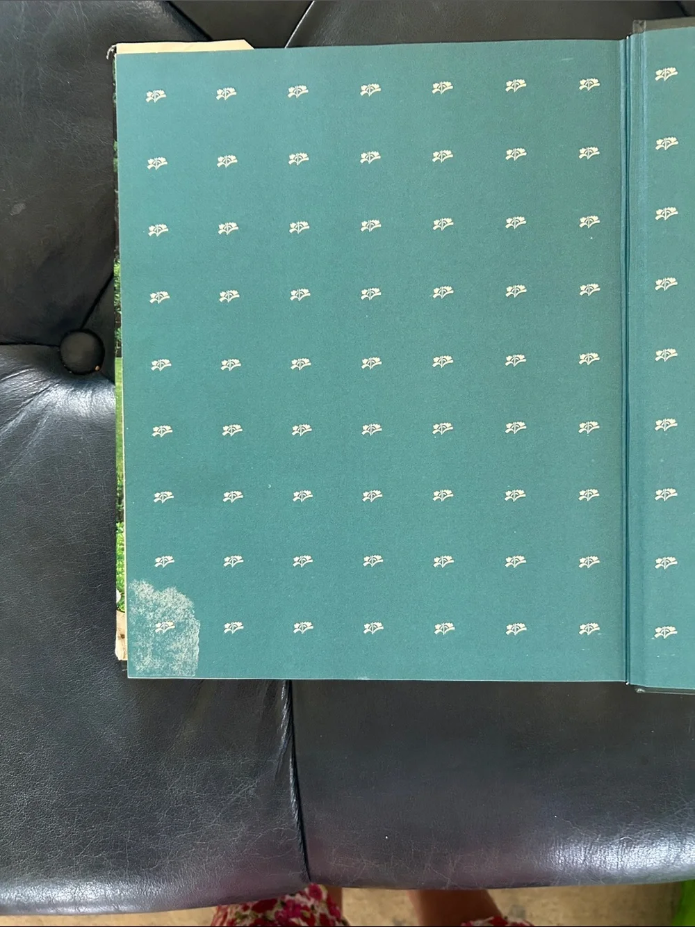 Martha Stewart this vintage